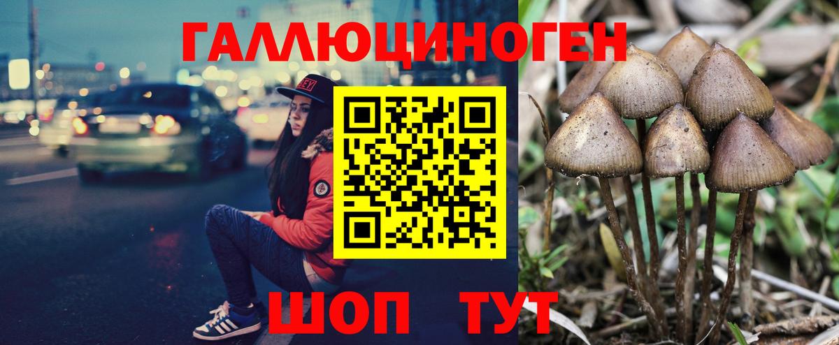 Галлюциногенные грибы прущие грибы Чернушка